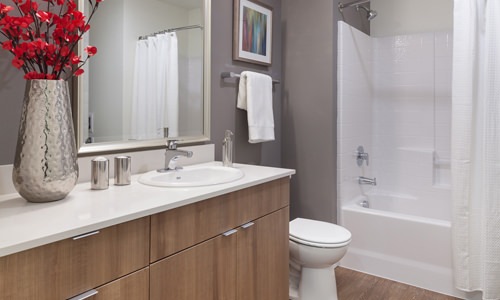 shower/tub combo in amply lit bathroom